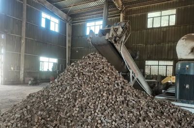 新疆鞏留 多舉措賦能綠色高質量發展，助力生物質燃料加工產業升級