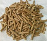 綠色能源新勢力 漳州生物質顆粒燃料生產廠引領優質燃料加工