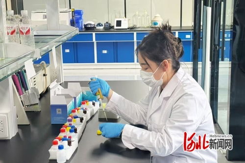 河北遵化 特色產(chǎn)業(yè)激活縣域經(jīng)濟(jì)發(fā)展新動(dòng)能